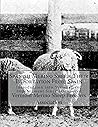 Spanish Merino Sheep: Their Importation From Spain: Introduction into Vermont and Improvement Since Introduced