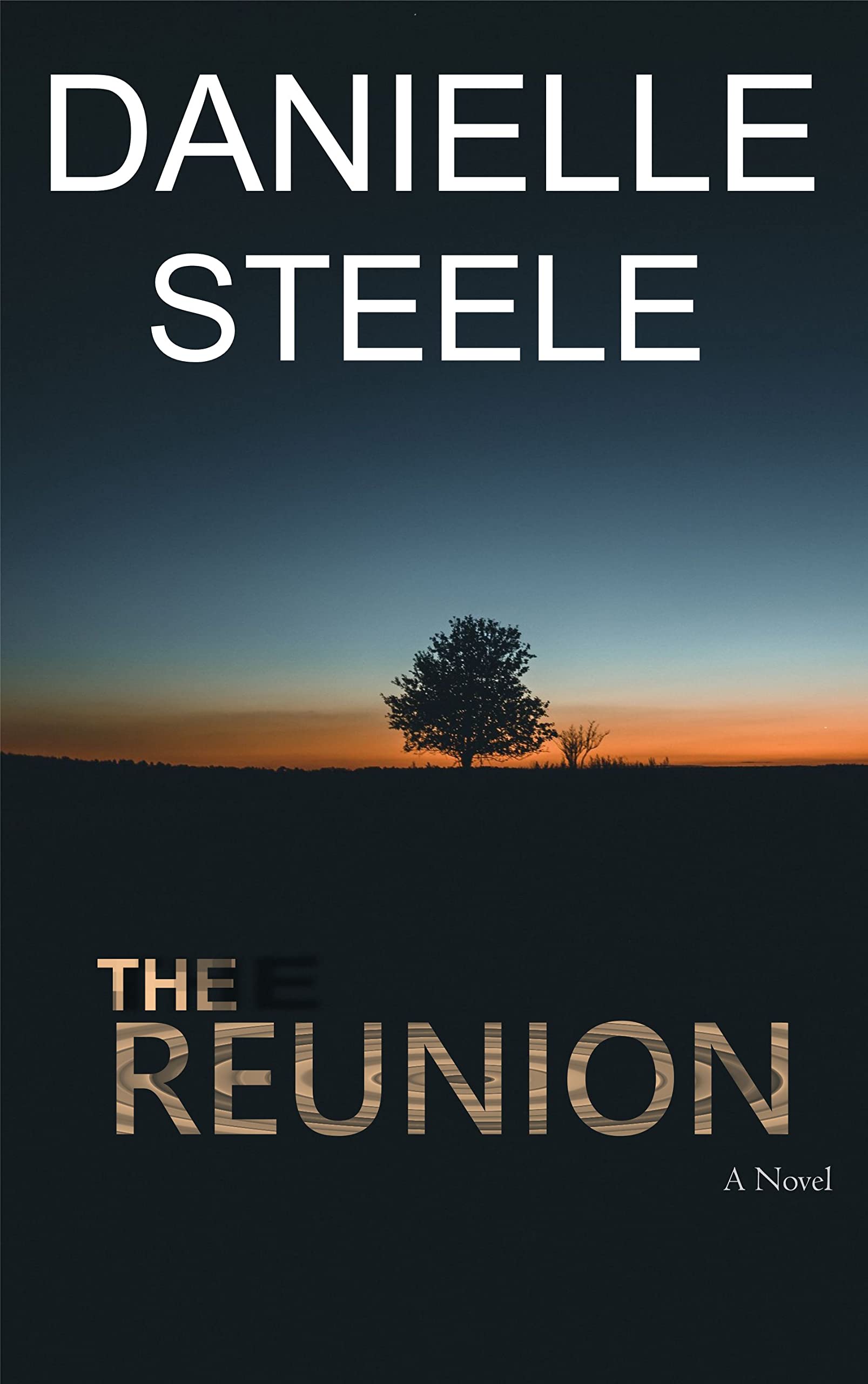 The Reunion (Kindle Edition)