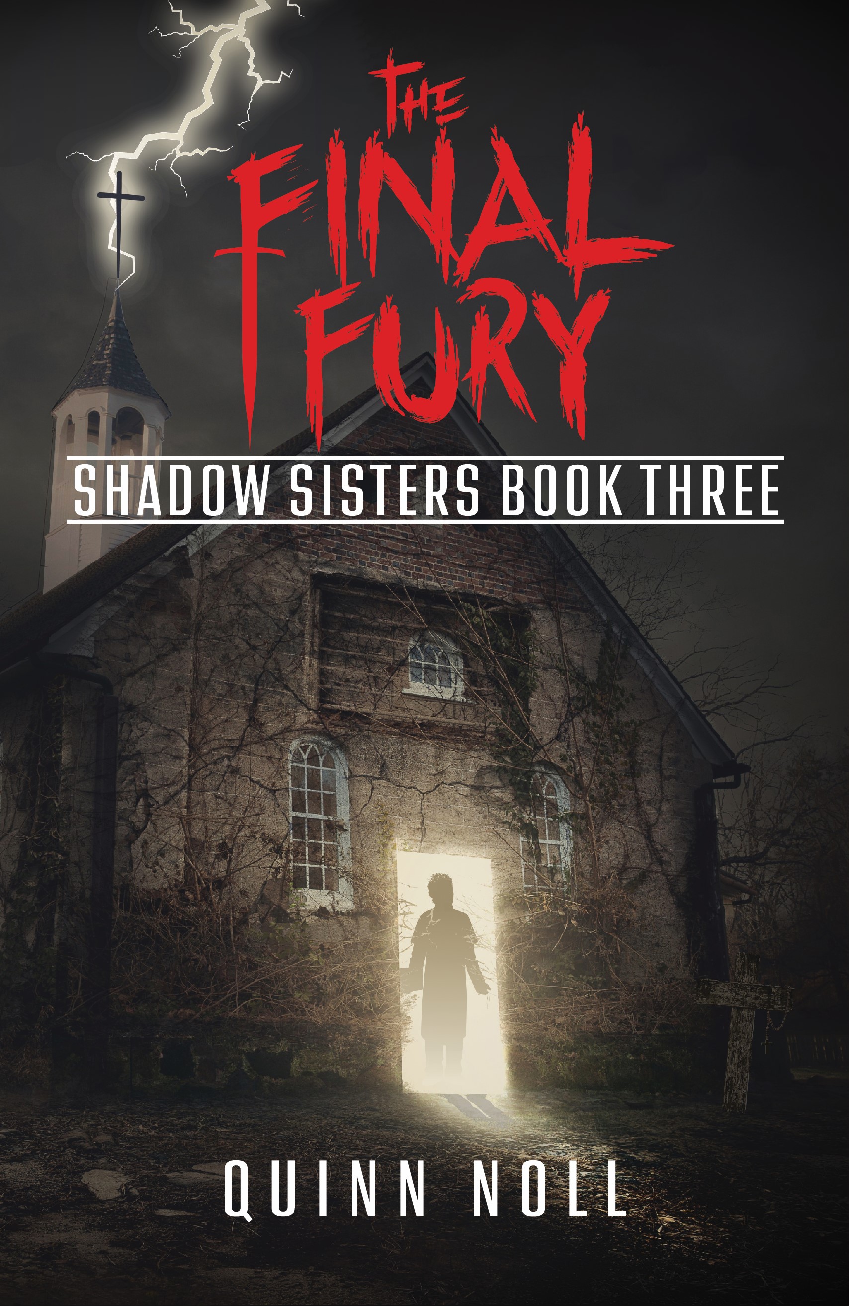 The Final Fury: Shadow Sisters Book Three (Shadow Sisters, #3)
