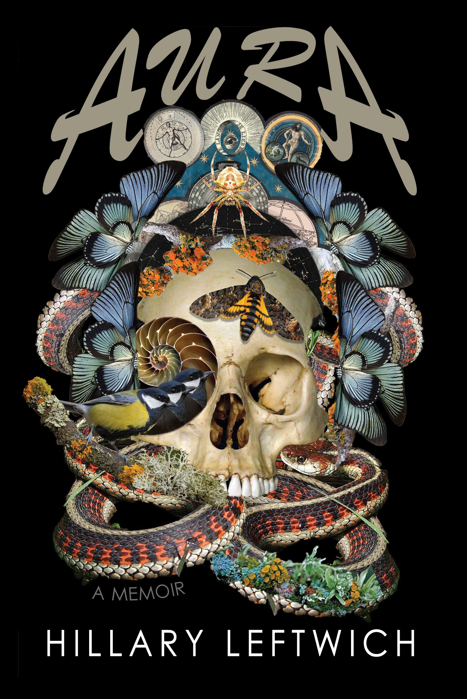 Aura: A Memoir (Kindle Edition)