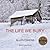 The Life We Bury (Joe Talbe...