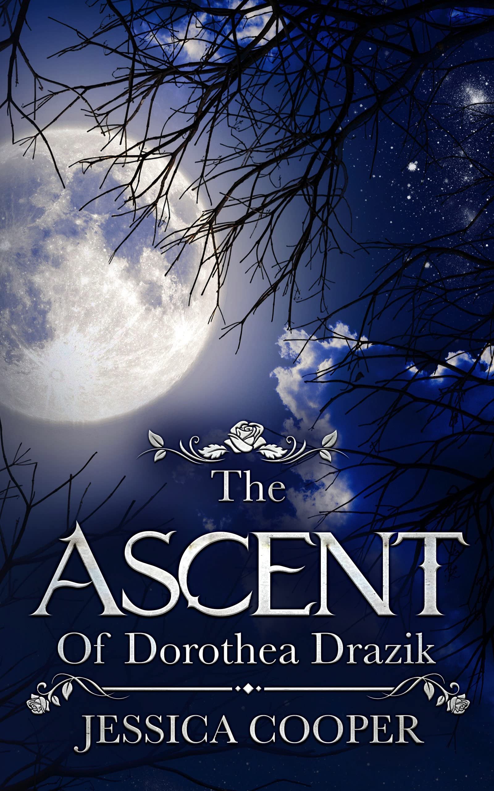 The Ascent of Dorothea Drazik (Kindle Edition)