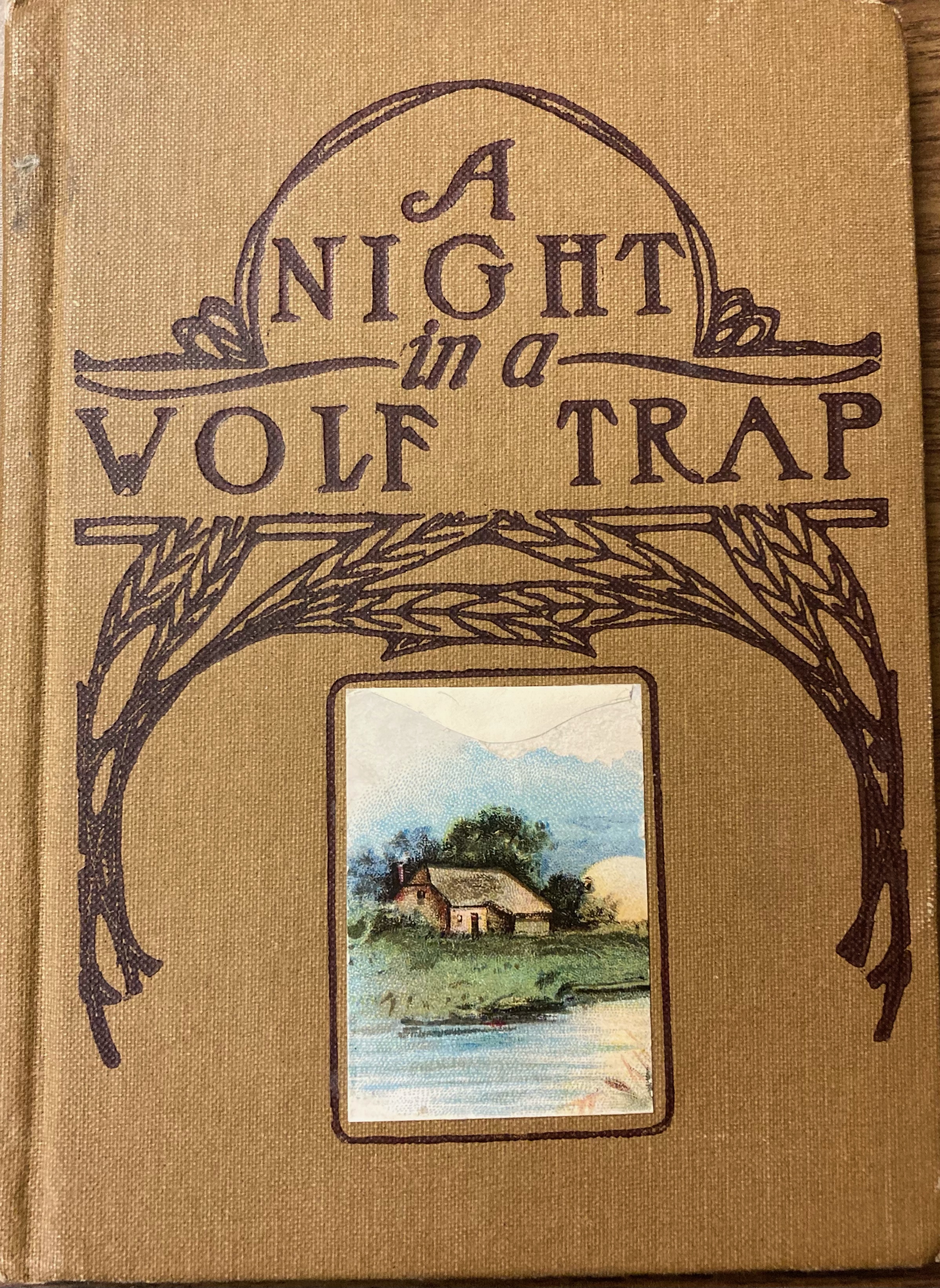 A Night in a Wolf Trap (Hardcover)