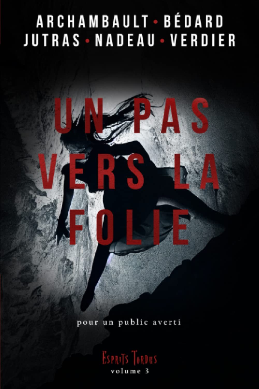 Un pas vers la folie: Esprits tordus (French Edition)