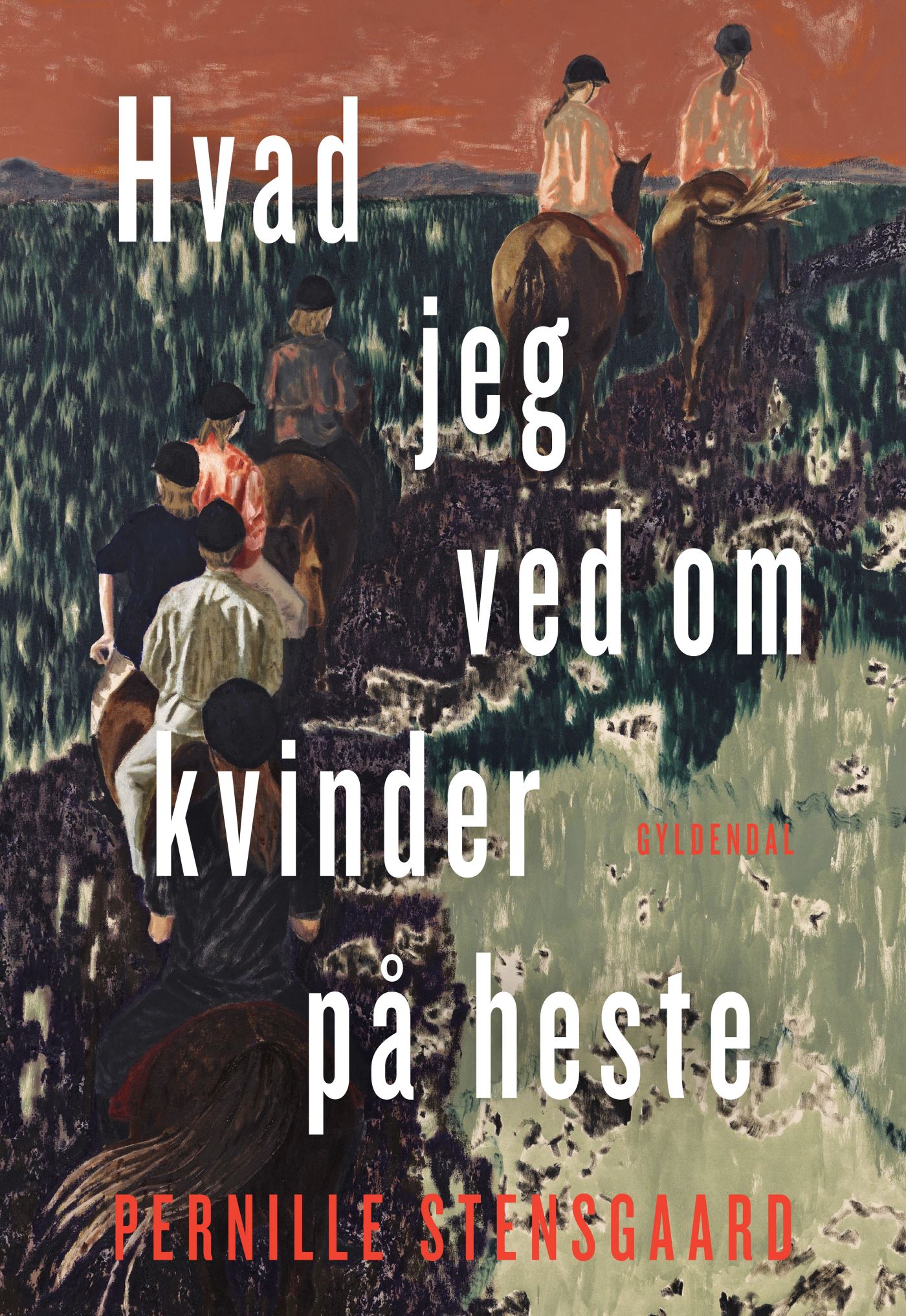 Hvad jeg ved om kvinder på heste (Paperback)