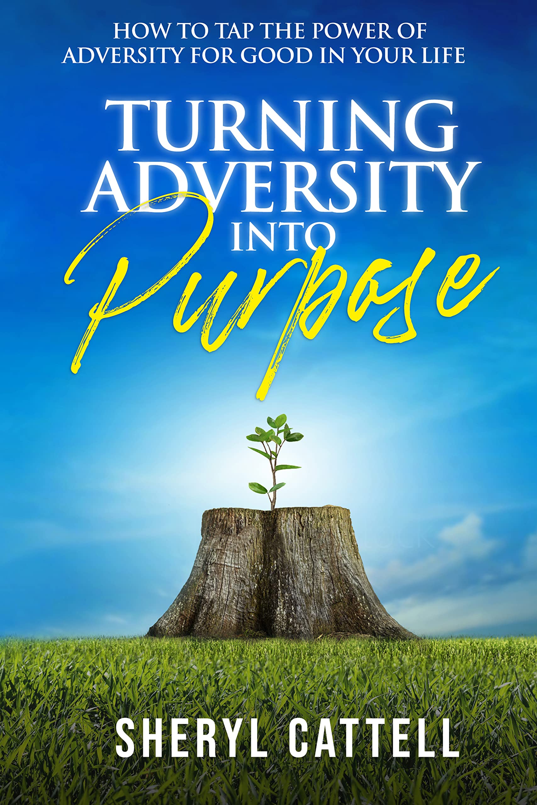 Turning Adversity into Purpose: How to Tap the Power of Resilience for Good in Your Life (Kindle Edition)