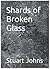 Shards of Broken Glass