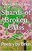 Shards of Broken Glass