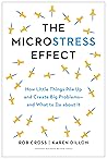 The Microstress Effect: How Little Things Pile Up and Create Big Problems--and What to Do about It