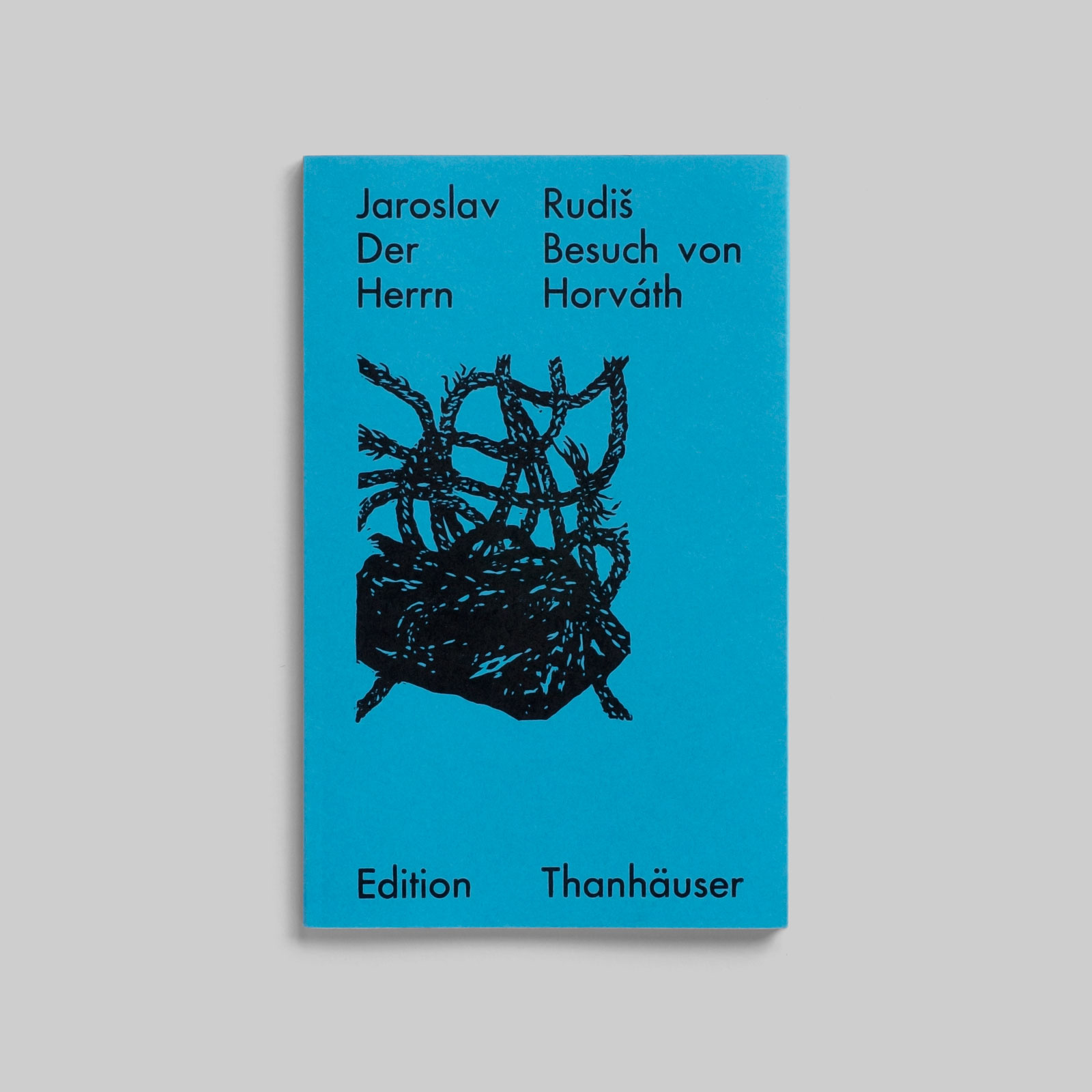 Der Besuch von Herrn Horváth (Paperback)