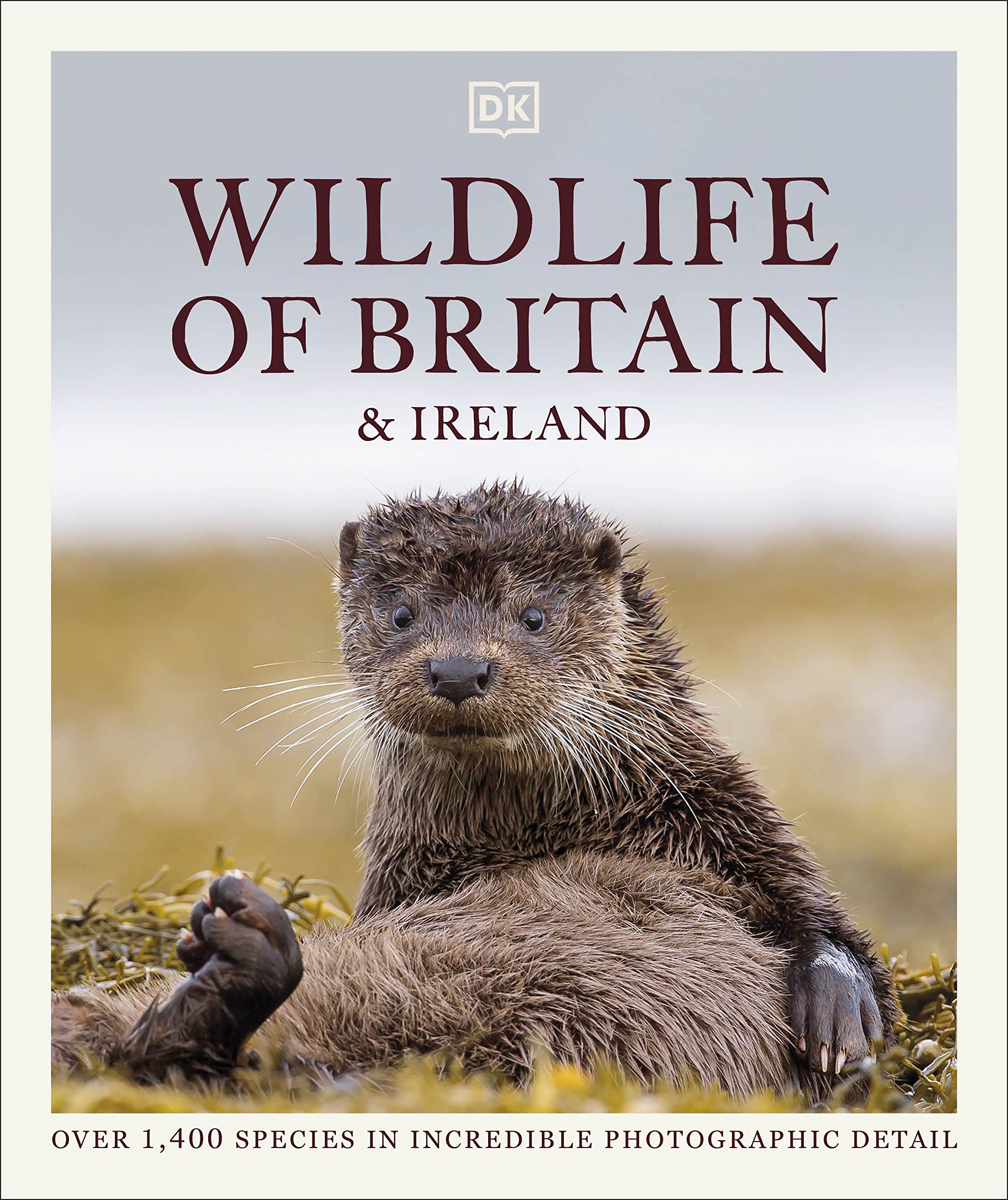 Wildlife of Britain and Ireland: Over 1,400 Species in Incredible Photographic Detail (Hardcover)