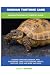 Russian Tortoise Care: Russian Tortoise Pet Owner's Guide