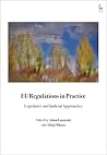 EU Regulations in Practice: Legislative and Judicial Approaches