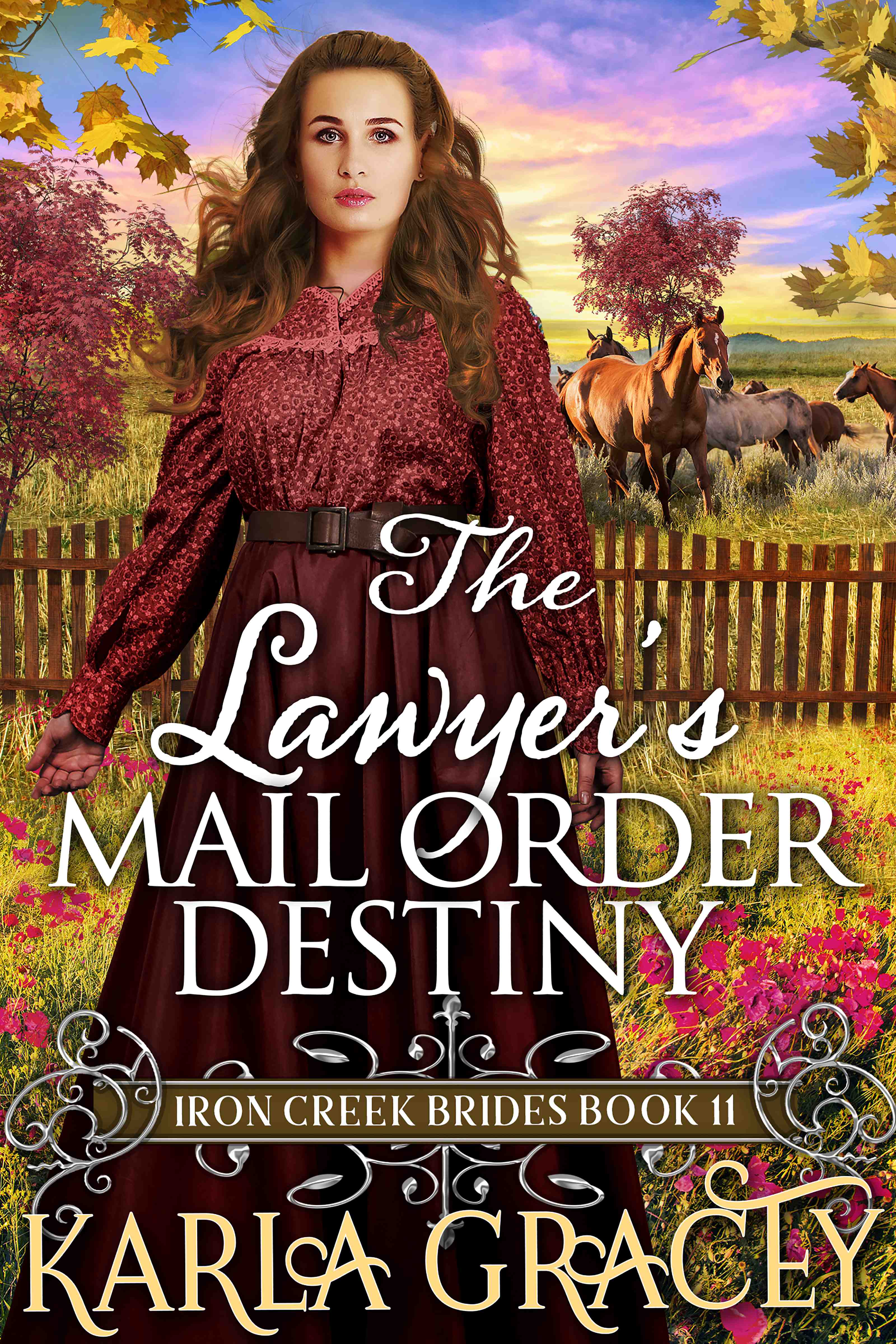 The Lawyer's Mail Order Destiny (Iron Creek Brides #11)