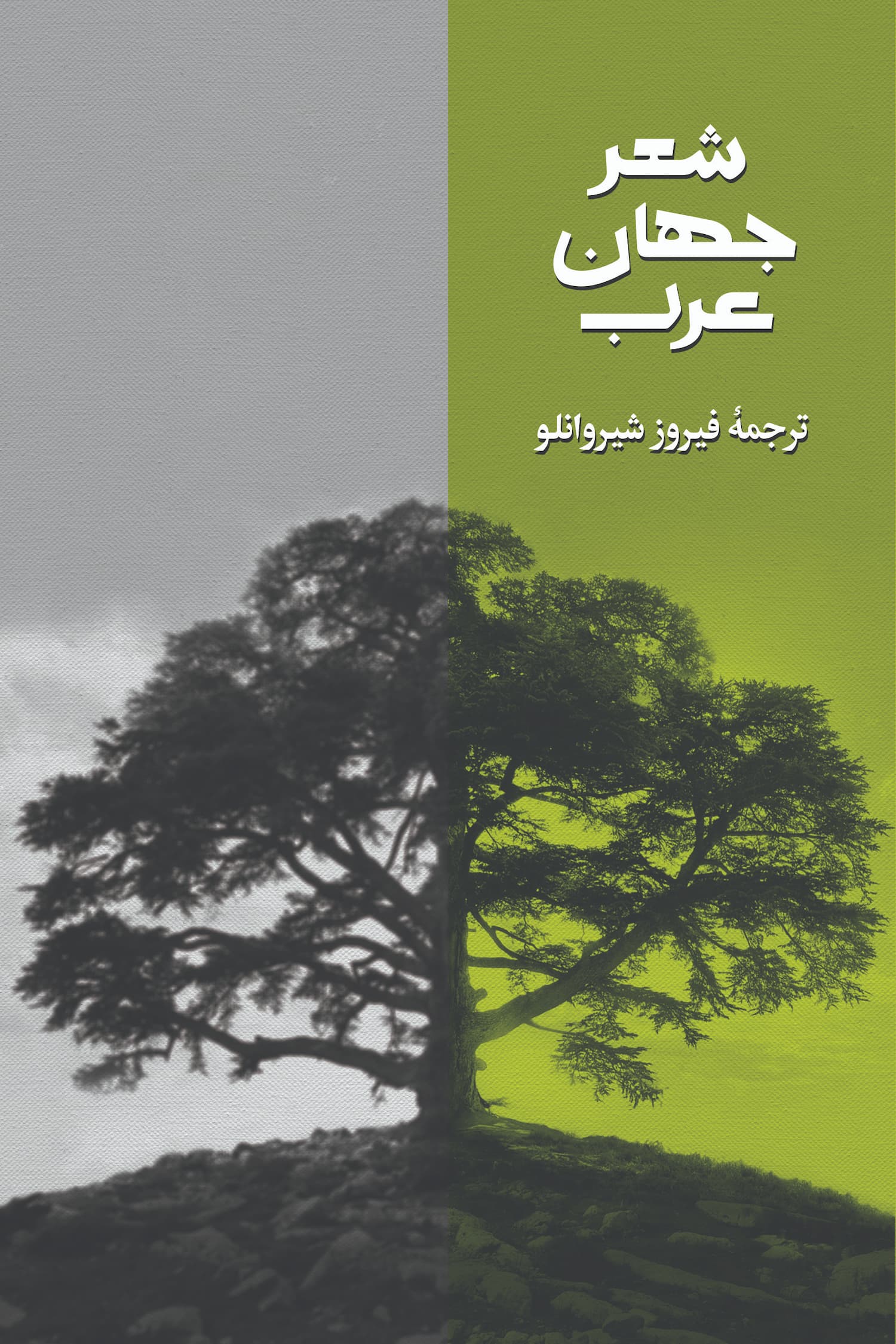 شعر جهان عرب