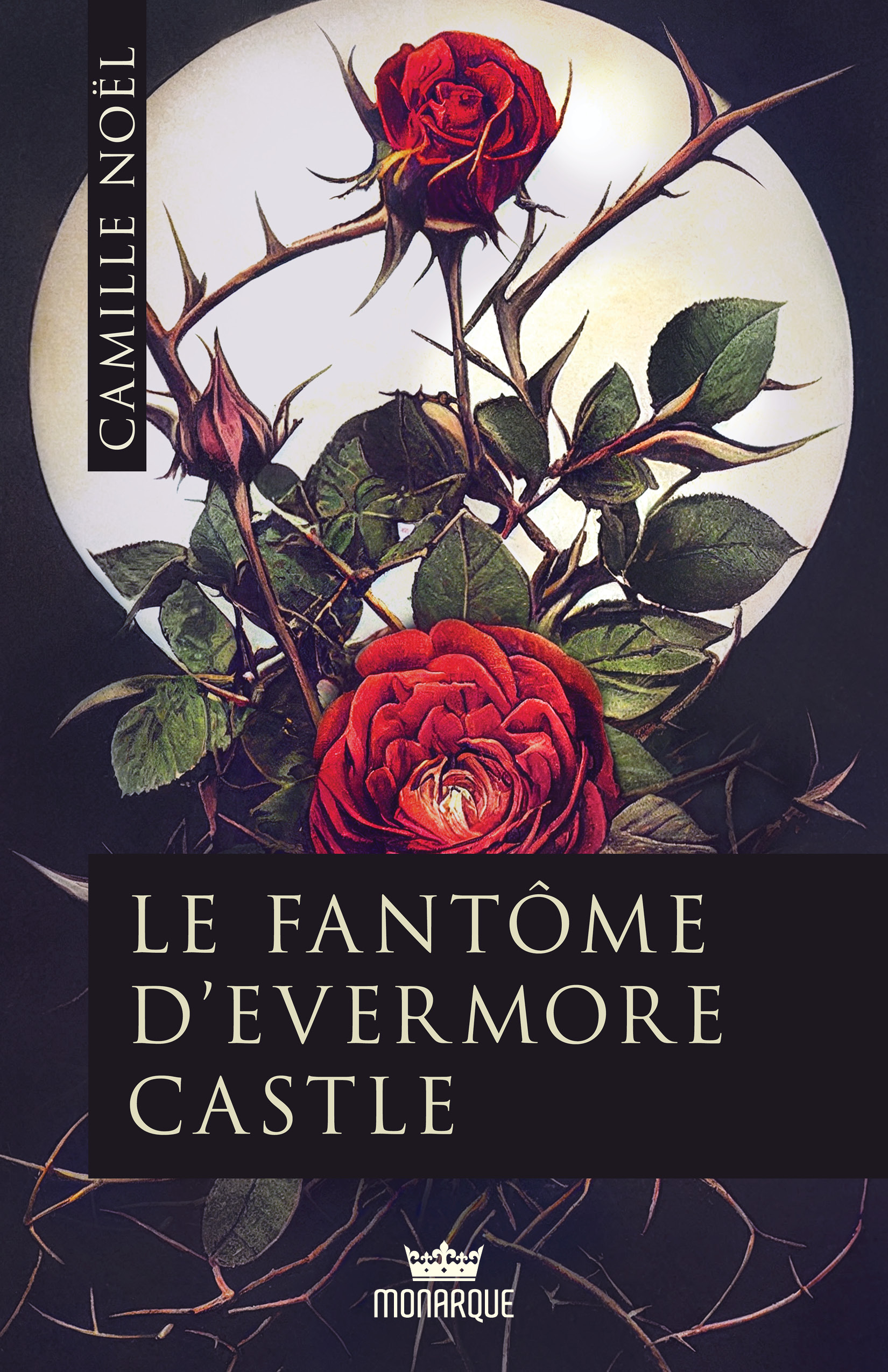 Le Fantôme d'Evermore Castle (Paperback)