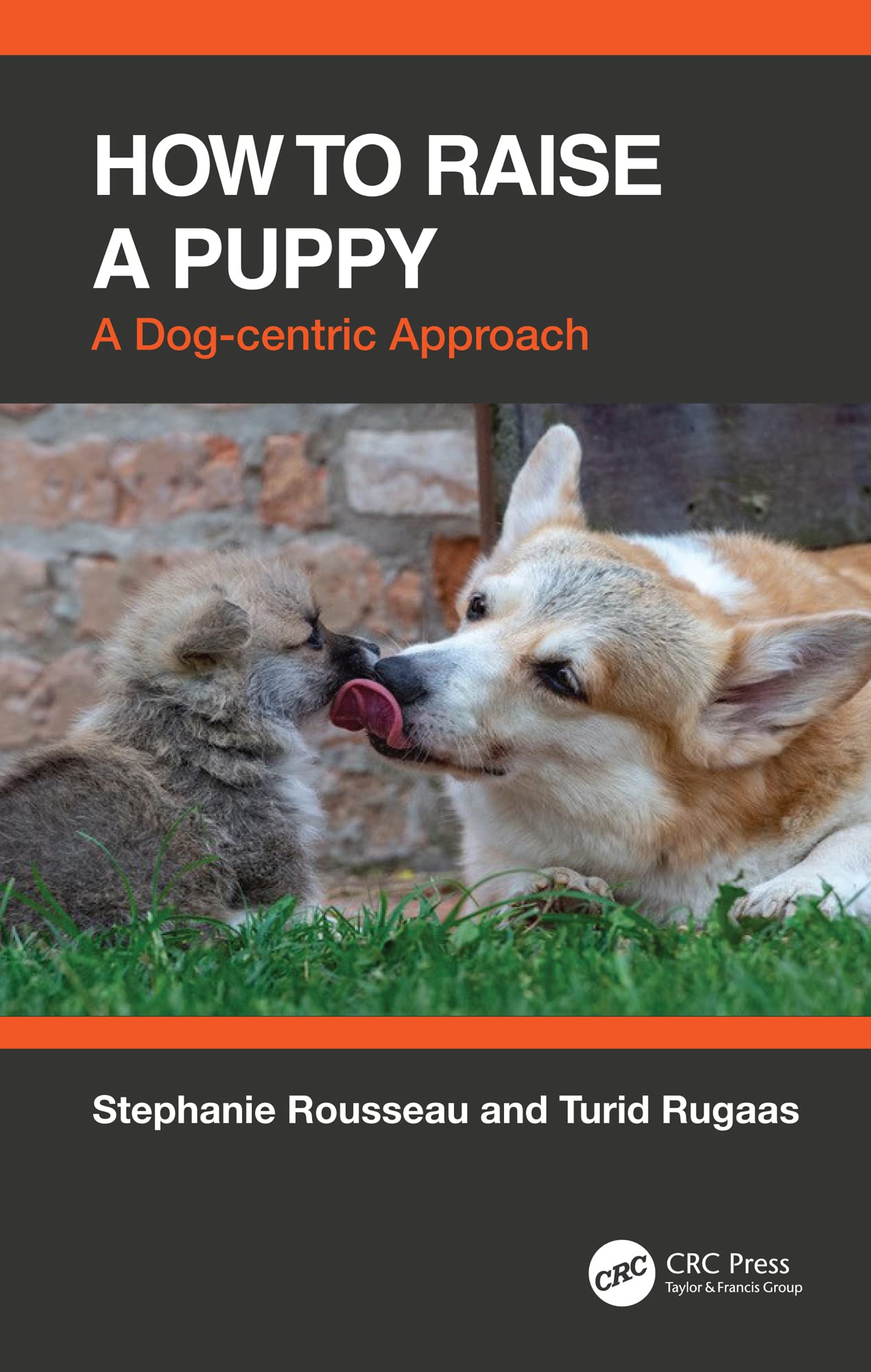 How to Raise a Puppy: A Dog-centric Approach (Kindle Edition)