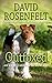 Outfoxed (Andy Carpenter #14)