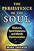 The Persistence of the Soul by Mark  Ireland