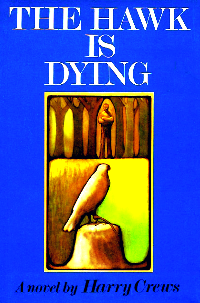 The Hawk Is Dying (Hardcover)