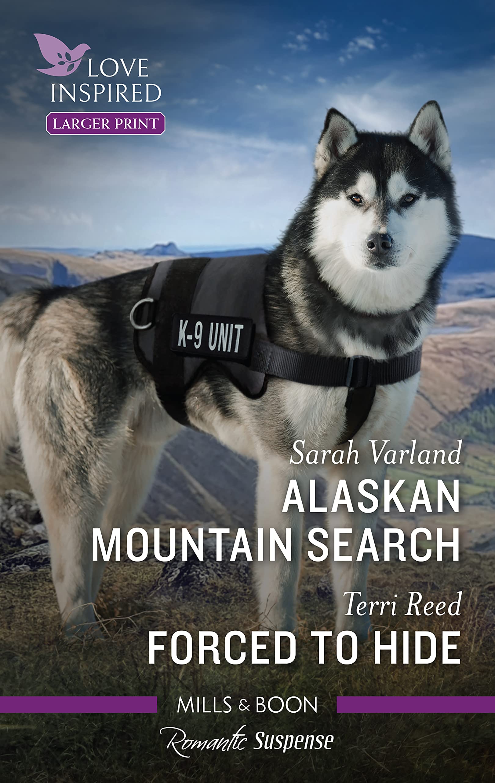 Alaskan Mountain Search/Forced to Hide (Paperback)