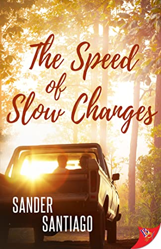 The Speed of Slow Changes (Paperback)