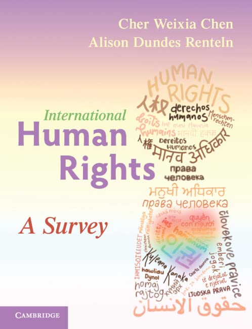 International Human Rights (Paperback)