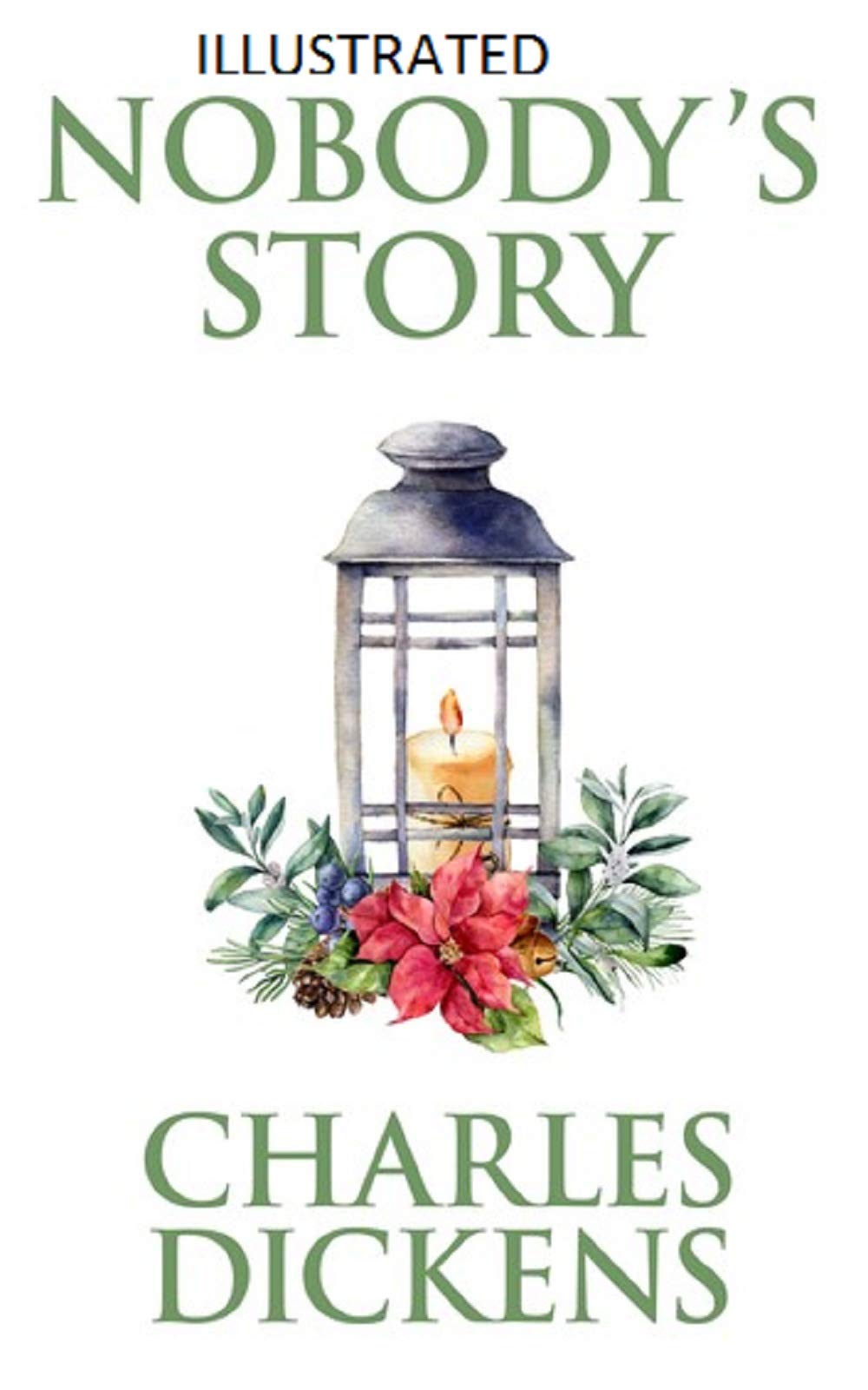 Nobody's Story Illustrated (Kindle Edition)