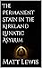 The Permanent Stain in the Kirkland Lunatic Asylum by Matt Lewis