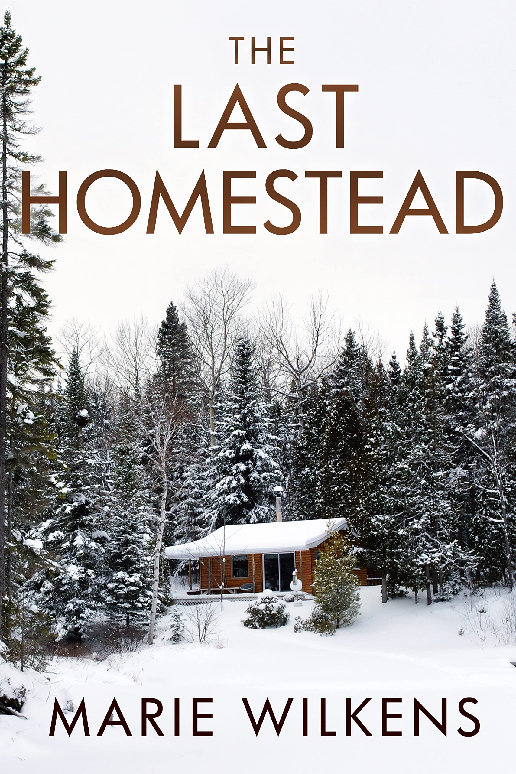The Last Homestead: Small Town EMP Survival in a Powerless World (Kindle Edition)