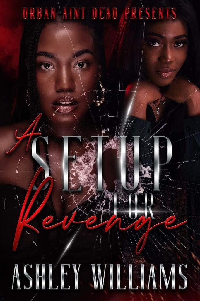 A Set Up For Revenge (A Setup For Revenge Book 1)
