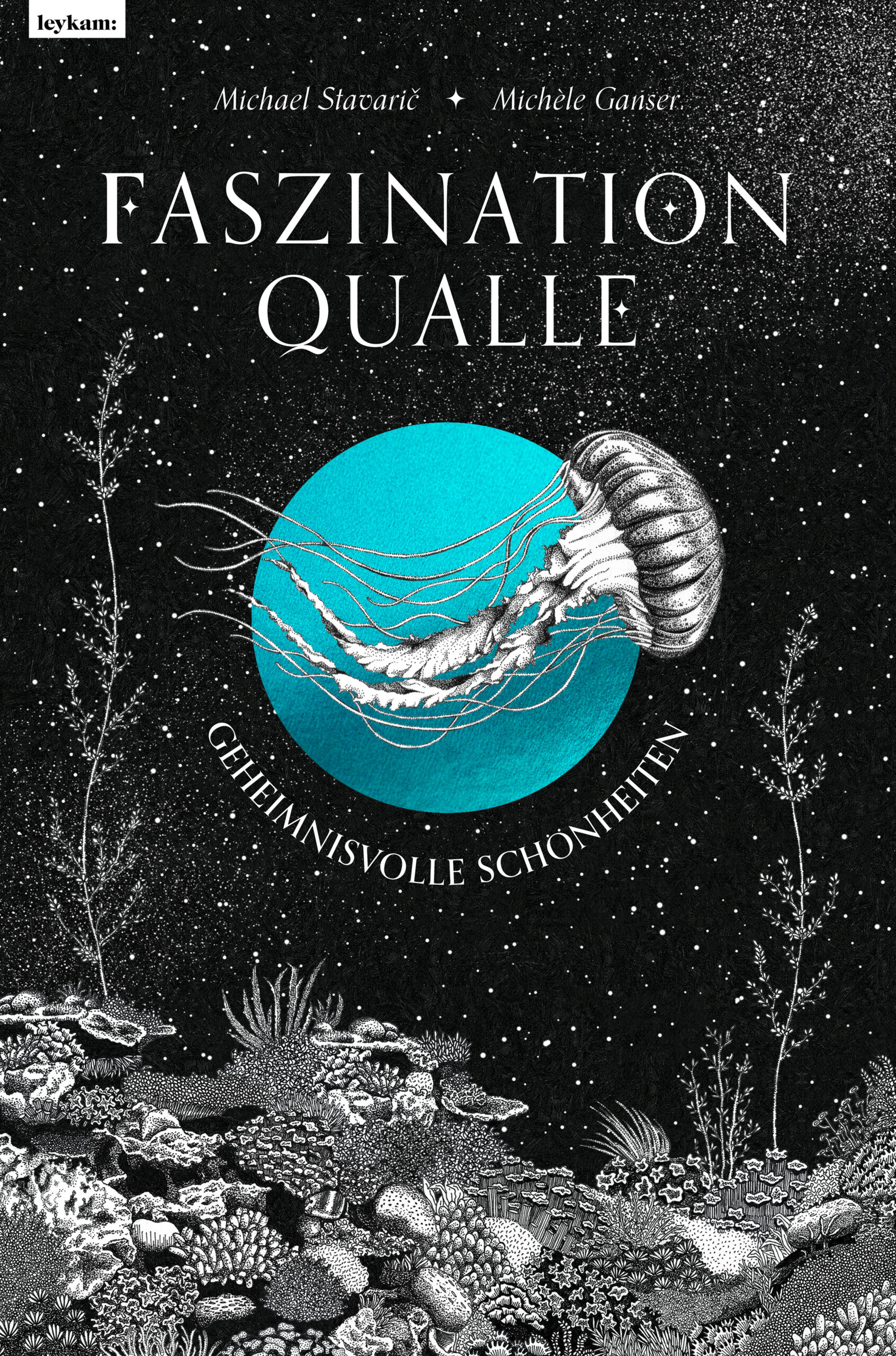Faszination Qualle (Hardcover)