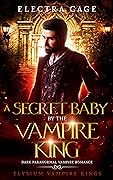 A Secret Baby by the Vampire King