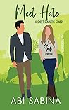 Meet Hate by Abi Sabina