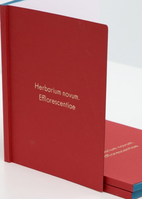 Herbarium novum. Efflorescentiae