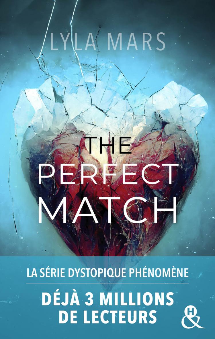 The Perfect Match (I'm Not Your Soulmate, #1)