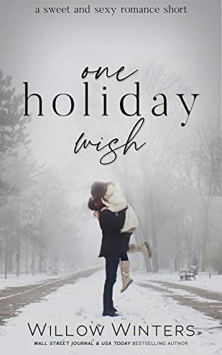 One Holiday Wish
