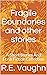 Fragile Boundaries and othe...