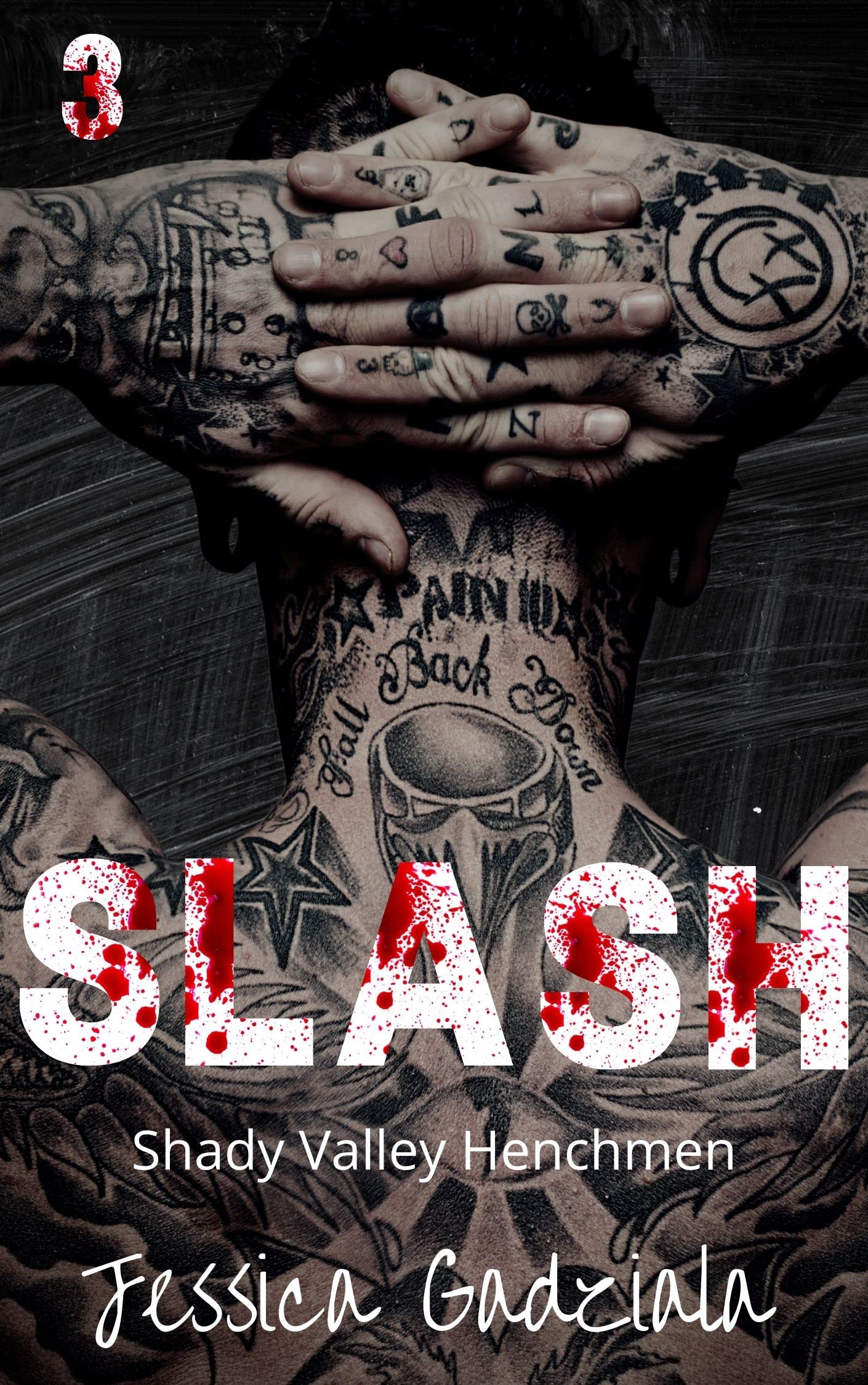 Slash (Shady Valley Henchmen, #3)