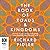 The Book of Roads and Kingdoms by Richard Fidler