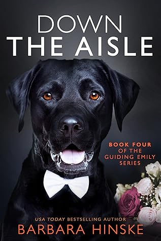 Down the Aisle (Book Four in the Guiding Emily Series)