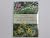 Encyclopedia of Garden Plan...