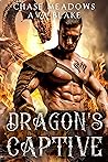 Dragon's Captive: A Time Slip Shifter Romance