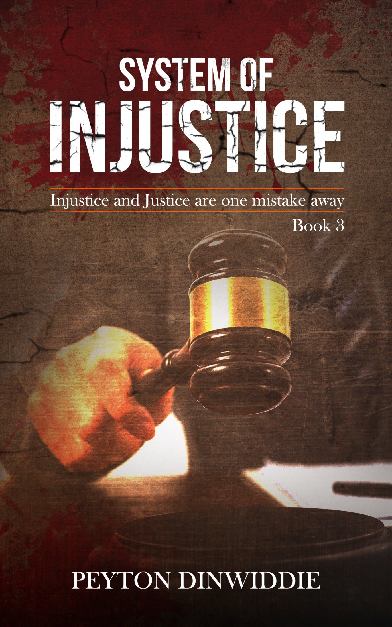 System of Injustice (Ryan Roosevelt Maze of Injustice #3)