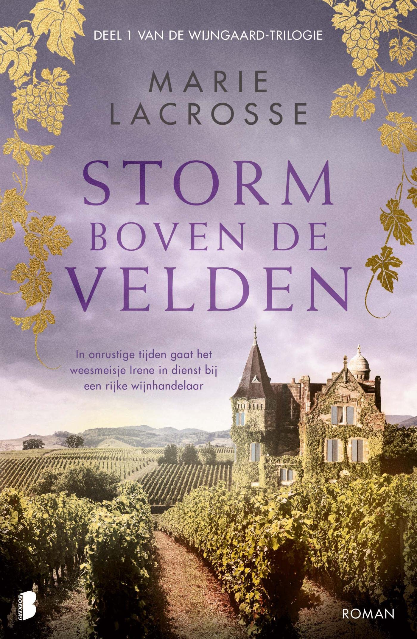 Storm boven de velden (Wijngaard-trilogie #1)