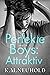 Perfekte Boys: Attraktiv (Buch 1) (German Edition)