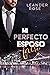 Mi perfecto esposo falso
