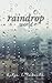 Raindrop World