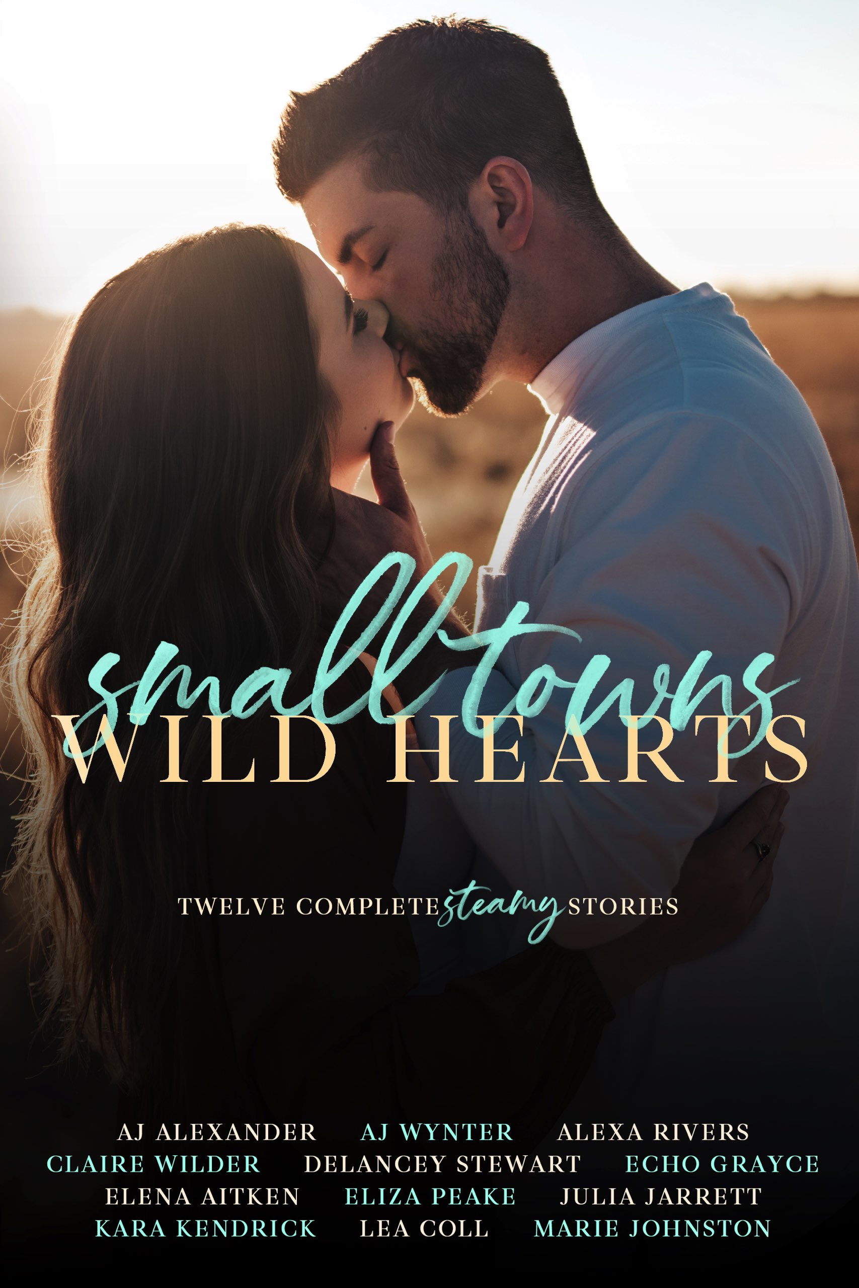 Small Towns, Wild Hearts