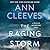 The Raging Storm (Two Rivers #3)